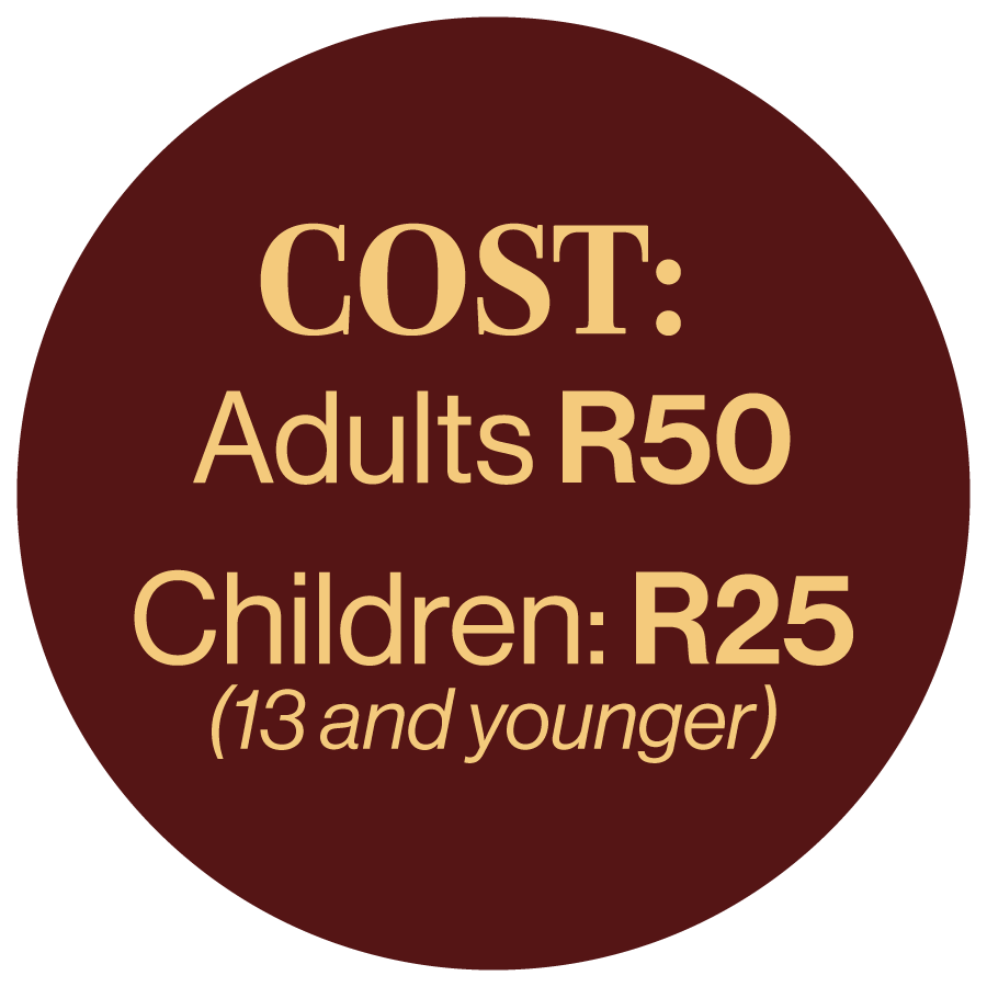 20251110_ChristmasSpec_Cost